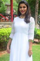 Anisha Ambrose Wet Dress Photos